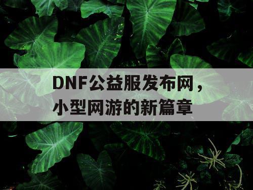 DNF公益服发布网，小型网游的新篇章