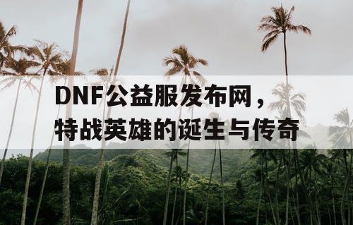 DNF公益服发布网，特战英雄的诞生与传奇