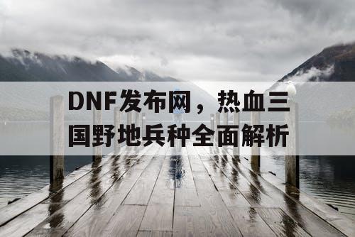 DNF发布网，热血三国野地兵种全面解析