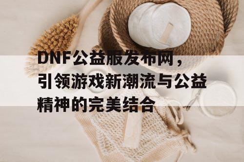 DNF公益服发布网，引领游戏新潮流与公益精神的完美结合