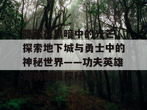 隐藏在黑暗中的光芒，探索地下城与勇士中的神秘世界——功夫英雄宠物秘境探秘