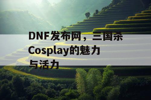 DNF发布网，三国杀Cosplay的魅力与活力