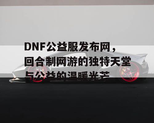 DNF公益服发布网，回合制网游的独特天堂与公益的温暖光芒