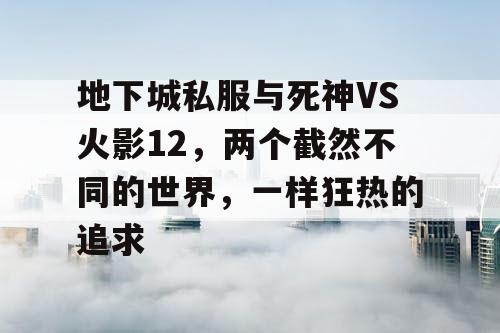 地下城私服与死神VS火影12，两个截然不同的世界，一样狂热的追求