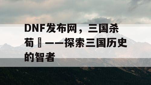 DNF发布网，三国杀荀彧——探索三国历史的智者