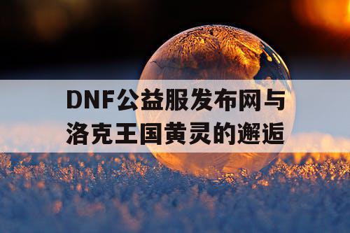 DNF公益服发布网与洛克王国黄灵的邂逅