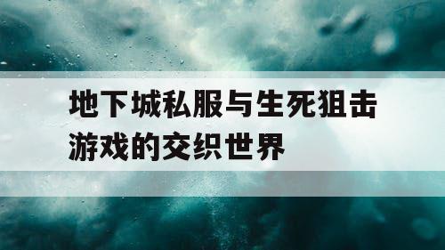 地下城私服与生死狙击游戏的交织世界