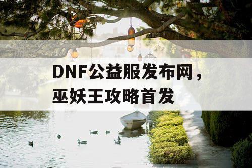 DNF公益服发布网，巫妖王攻略首发