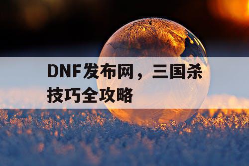 DNF发布网，三国杀技巧全攻略