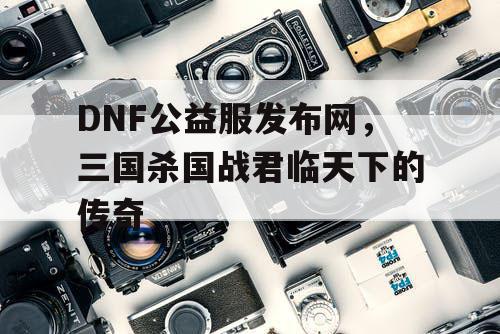 DNF公益服发布网，三国杀国战君临天下的传奇