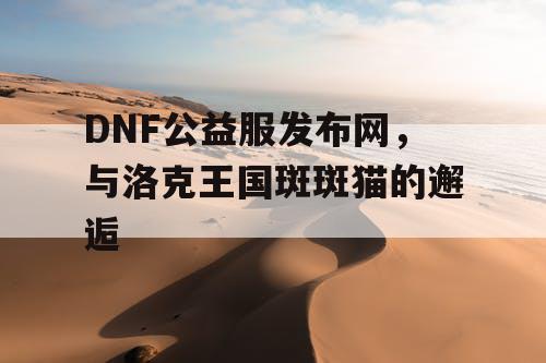 DNF公益服发布网，与洛克王国斑斑猫的邂逅