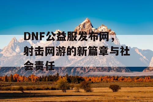 DNF公益服发布网，射击网游的新篇章与社会责任