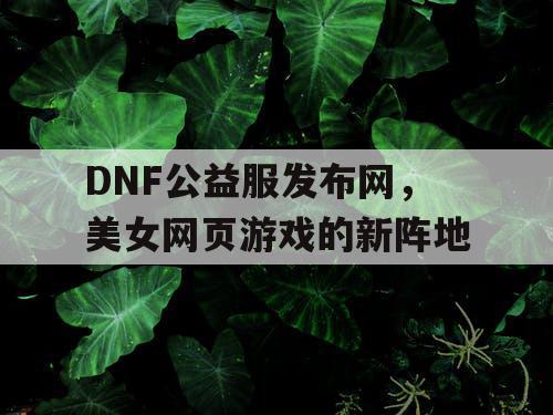 DNF公益服发布网，美女网页游戏的新阵地