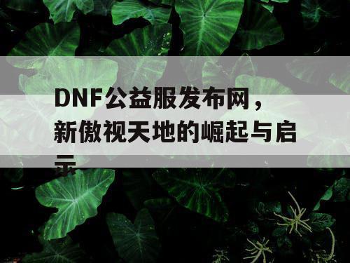 DNF公益服发布网，新傲视天地的崛起与启示