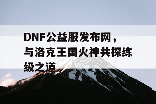 DNF公益服发布网，与洛克王国火神共探练级之道