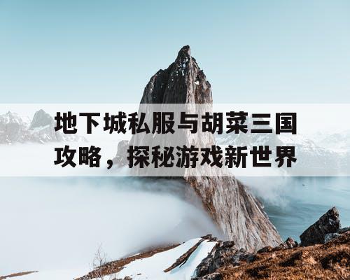 地下城私服与胡菜三国攻略，探秘游戏新世界